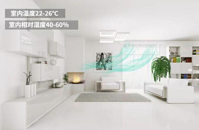 五恒系統的發展受哪些因素影響？